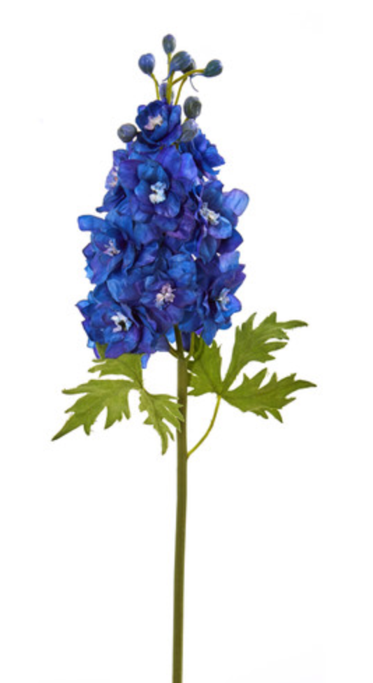 Delphinium M. 28” - Blue