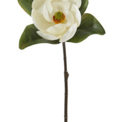 Magnolia M. 33.5” - White