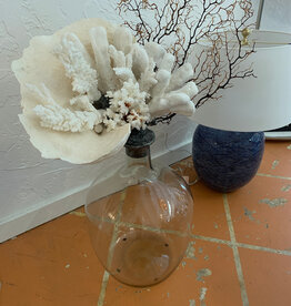 Ex Large Coral with Brown Sea Fan