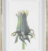 Wildflower Print 2 19"Wx27"H