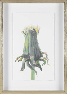 Wildflower Print 2 19"Wx27"H