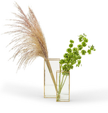 Window Square Vase with Gold Metal Trim SM 4" W x 2 1/2" D x 9" H