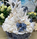 Shells and Coral in Blue and White Bowl  C 18Hx16W
