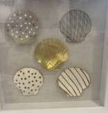 White Shell Collage 10"x10"