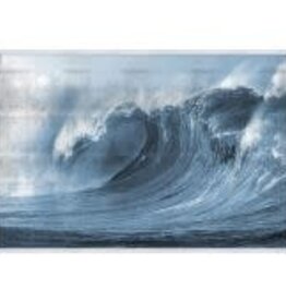 Silver Rip Curl   61.5"w x 41.5"h