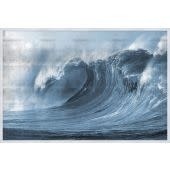 Silver Rip Curl   61.5"w x 41.5"h