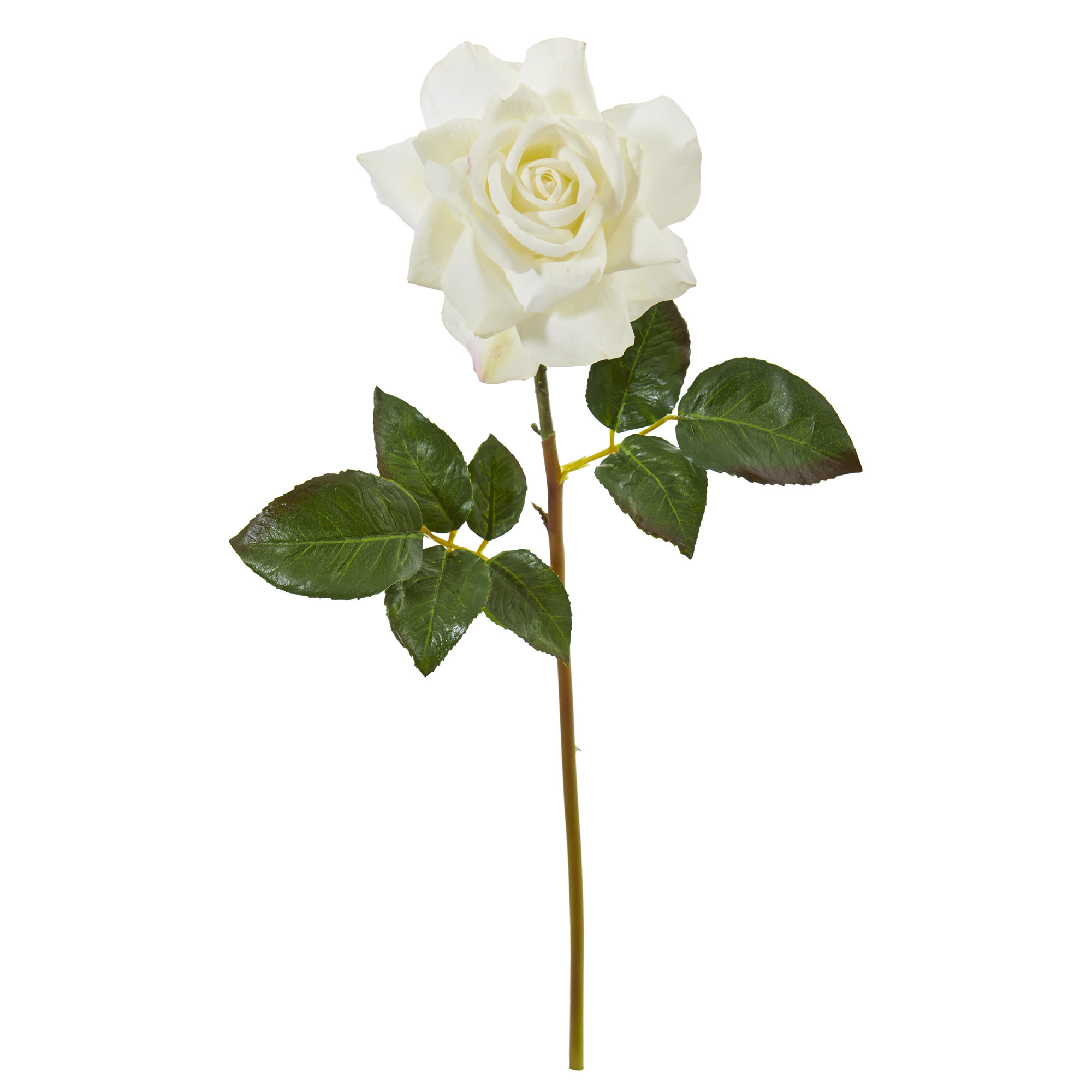 20" Open Rose Bloom-White