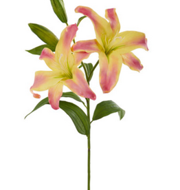Casablanca Lily x 2 32” - Yellow Orange