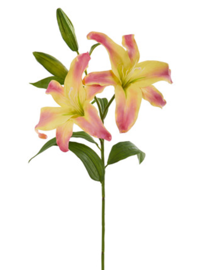 Casablanca Lily x 2 32” - Yellow Orange