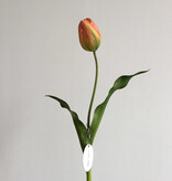 Orange/Green Dutch Tulip 22.5”
