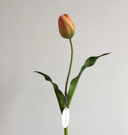 Orange/Green Dutch Tulip 22.5”