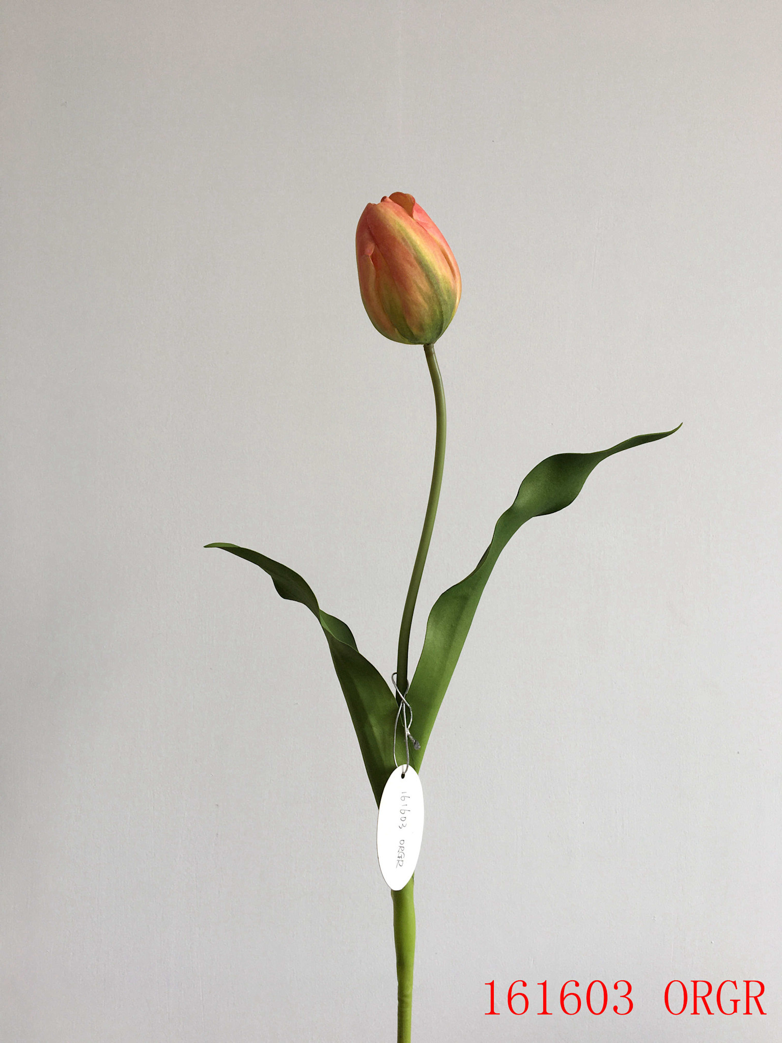 Orange/Green Dutch Tulip 22.5”