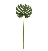 Leaf Split Philo L. 45"-Green
