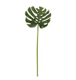 Leaf Split Philo L. 45"-Green