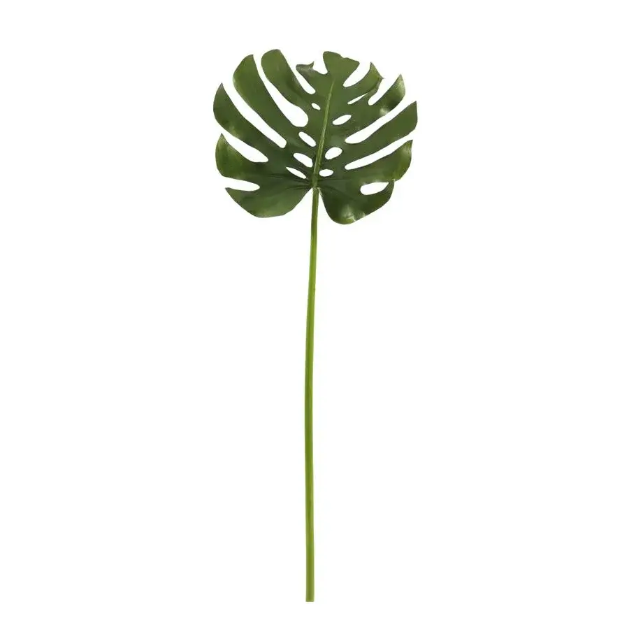 Leaf Split Philo L. 45"-Green