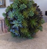 Small Succulent Hanging Ball    13" Dia