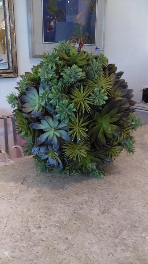 Small Succulent Hanging Ball    13" Dia