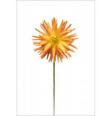 Flower on Acrylic 9 - 16"W x 24"H