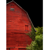 ArtLex "Red"  35"x47"