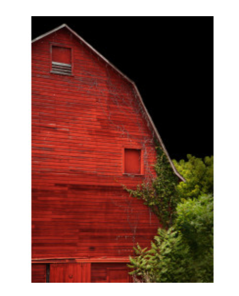 ArtLex "Red"  35"x47"