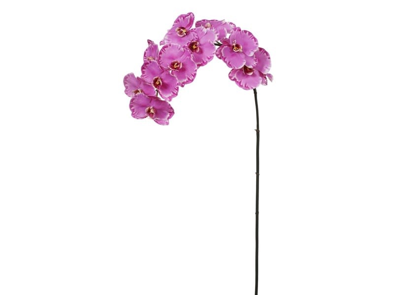 Phalaenopsis Orchid x12 Lavender Orchid