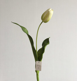 Dutch Tulip 22.5” - Light Green