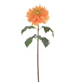 Dahlia 33"-Coral