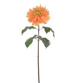Dahlia 33"-Coral