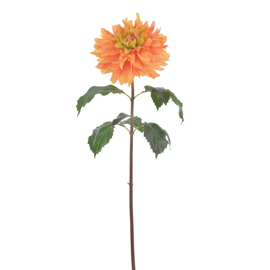 Dahlia 33"-Coral