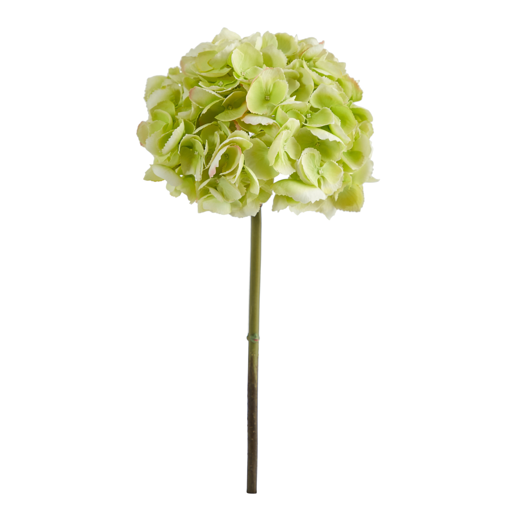 19" Fluffy Hydrangea-LG