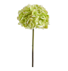19" Fluffy Hydrangea-LG