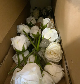 Rose Dutchess Bud 8"-White