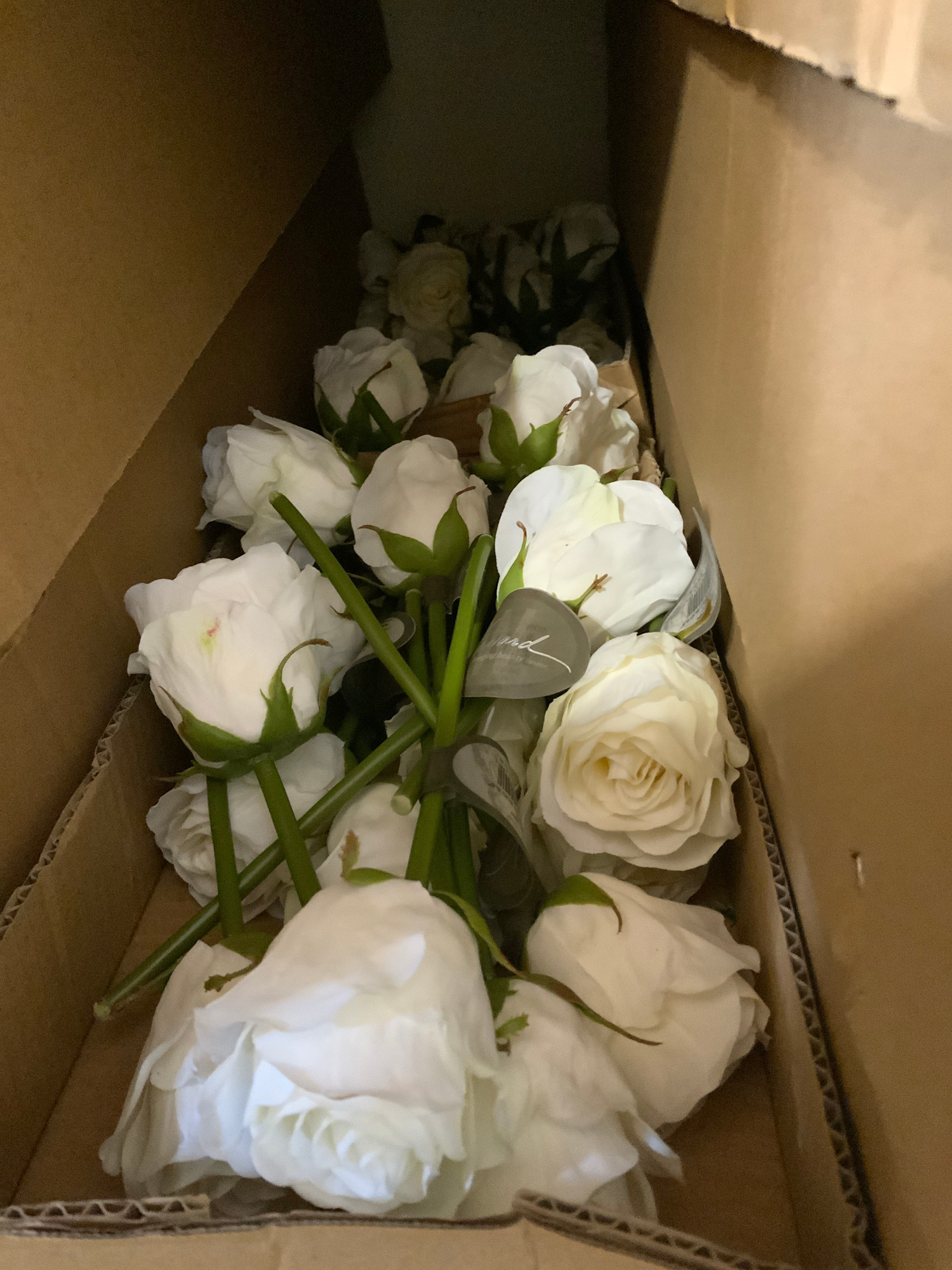 Rose Dutchess Bud 8"-White