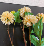 Dahlia Short Stem 20" - Yellow