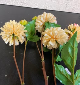 Dahlia Short Stem 20" - Yellow