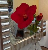 Large Red Hibiscus Stem