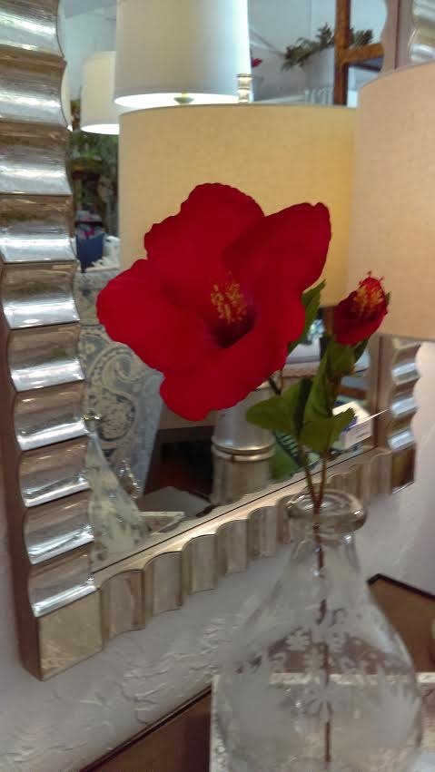 Large Red Hibiscus Stem