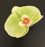 Phalaenopsis Orchid Votive-Faux Water (Green)