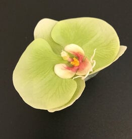 Phalaenopsis Orchid Votive-Faux Water (Green)
