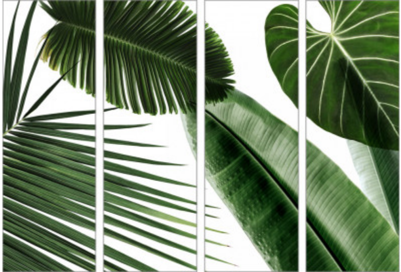 ArtLex "Palm Leaf" (Set of 4) - 20"W x 72"H each panel