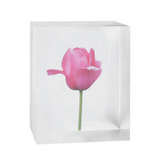 Flower in Acrylic Block 2 - 6"W x 2"D x 5"H
