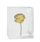 Flower in Acrylic Block 3 - 6"W x 2"D x 5"H