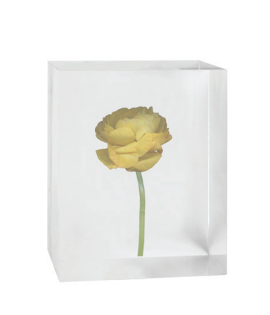 Flower in Acrylic Block 3 - 6"W x 2"D x 5"H