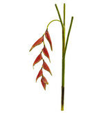 33" Hanging Heliconia