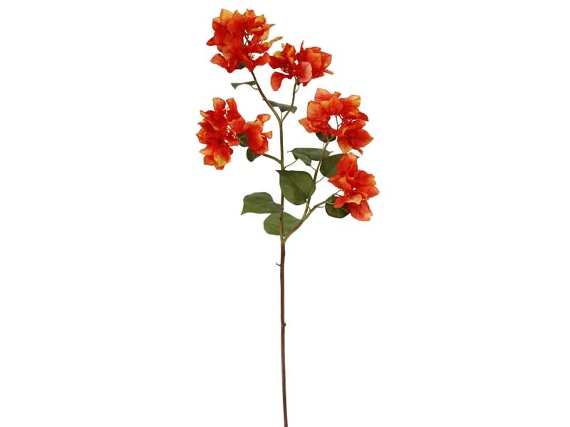 Bougainvillea M. 34.5''-Orange