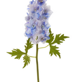Delphinium M. 28” - Tone Blue