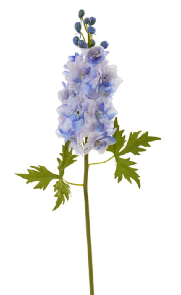 Delphinium M. 28” - Tone Blue