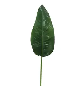 Green Bird of Paradise Leaf 48''