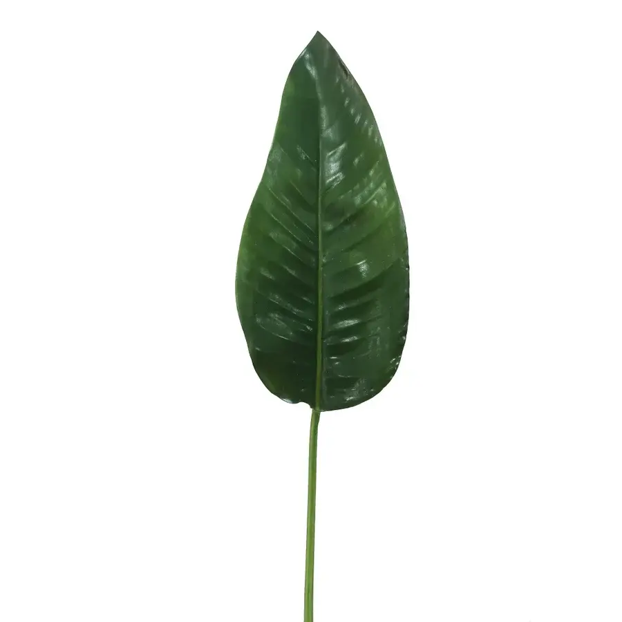 Green Bird of Paradise Leaf 48''