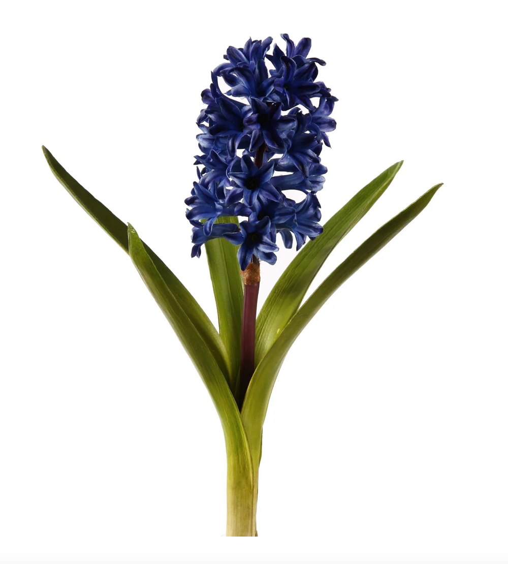 Hyacinth w/Leaves 12.5'' (Blue)